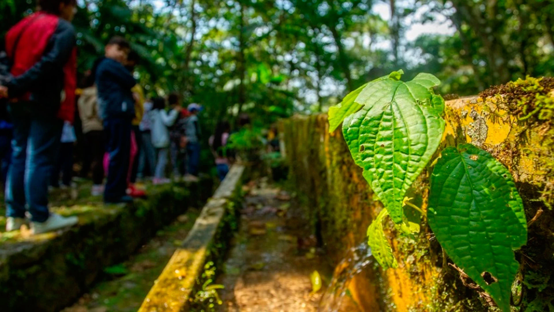 Reunião: Programa de Educação Ambiental