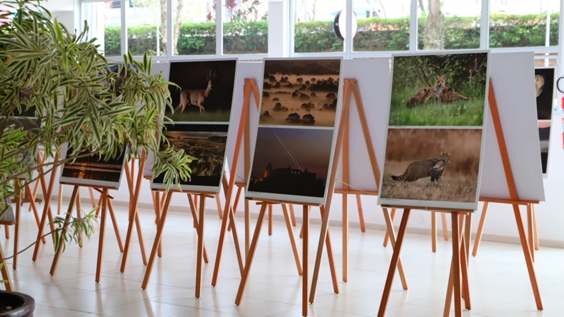 Exposição Tesouros Naturais de Visegrád