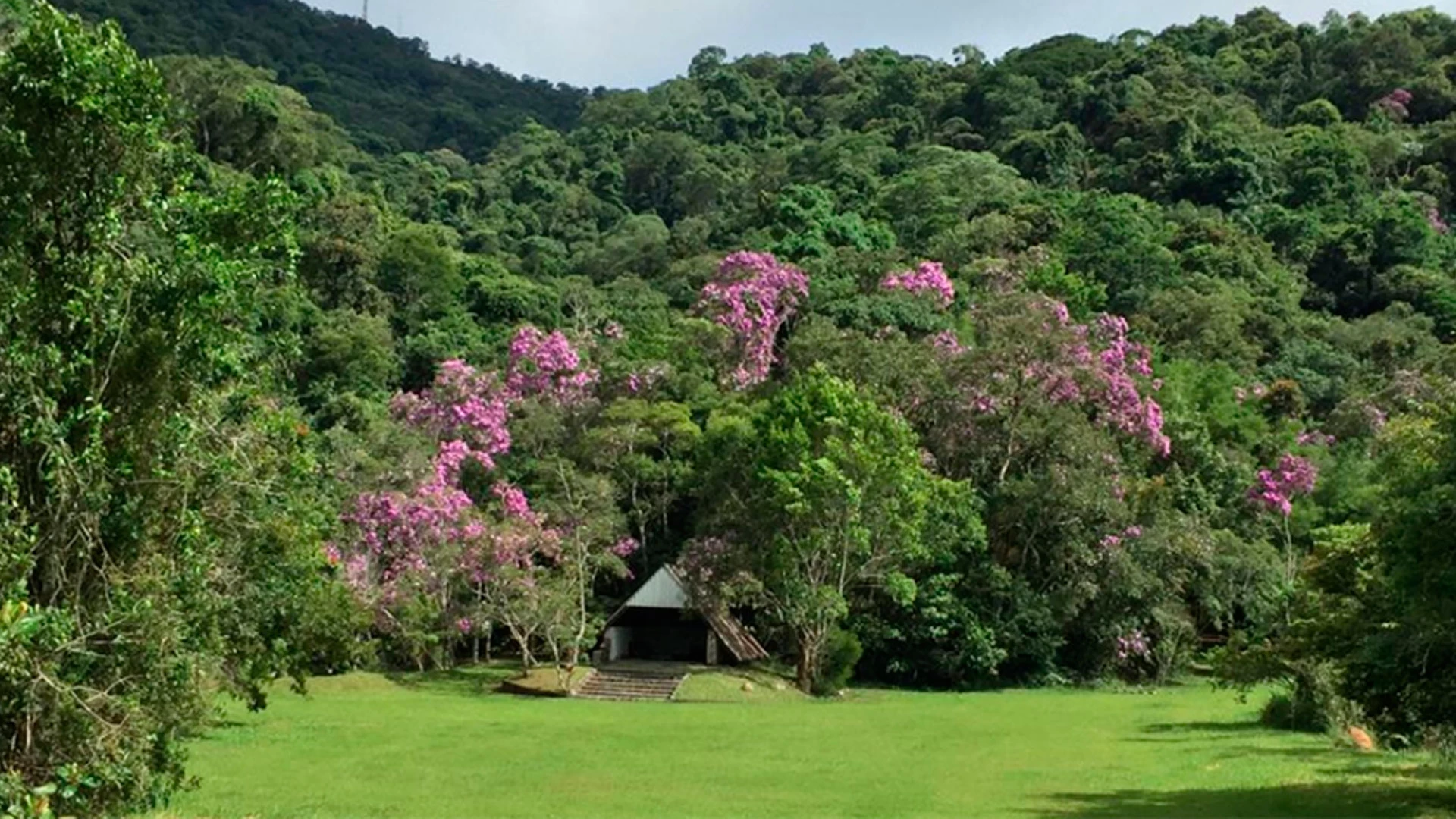 Dia Mundial do Meio Ambiente