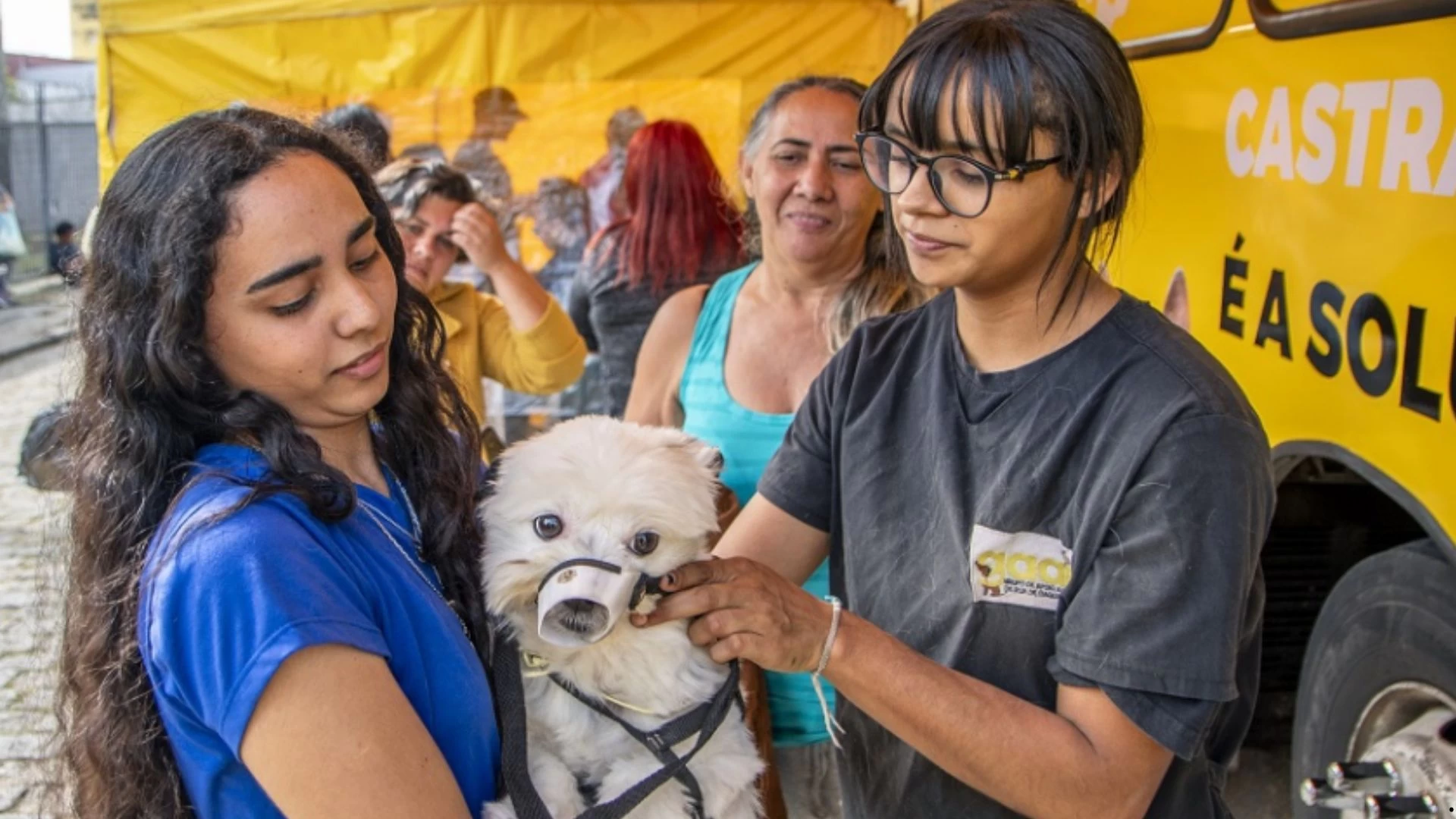 3ª edição do evento "Seu Amigo Pet"