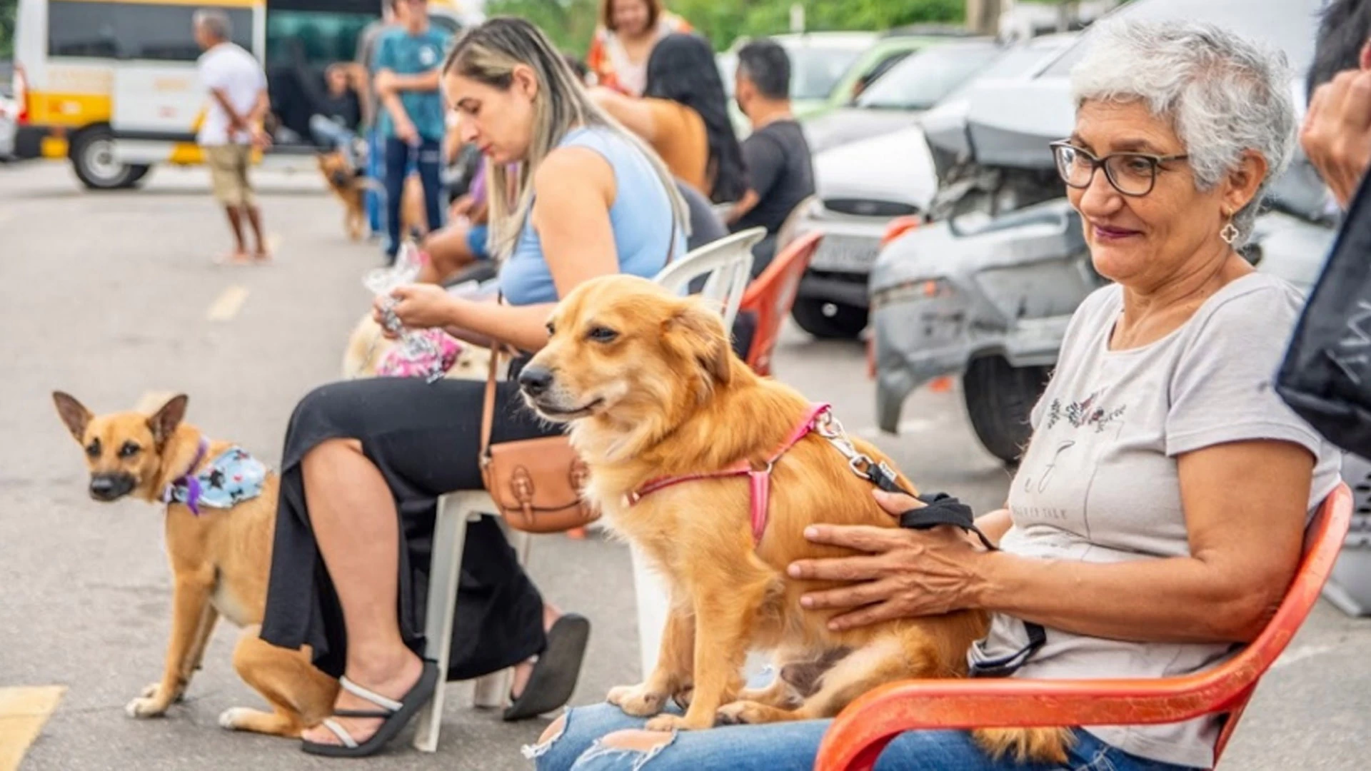 6ª edição do Seu Amigo Pet 