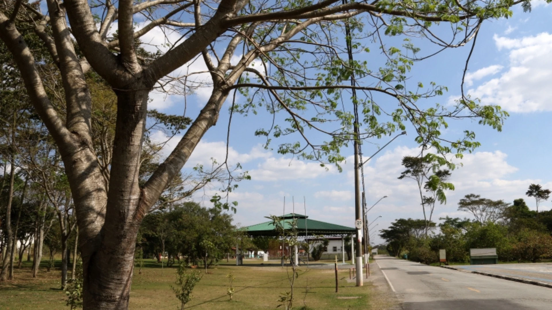 Caminhada Ecológica 