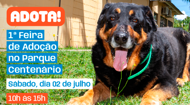1ª Feira de Adoção do 'Adota!
