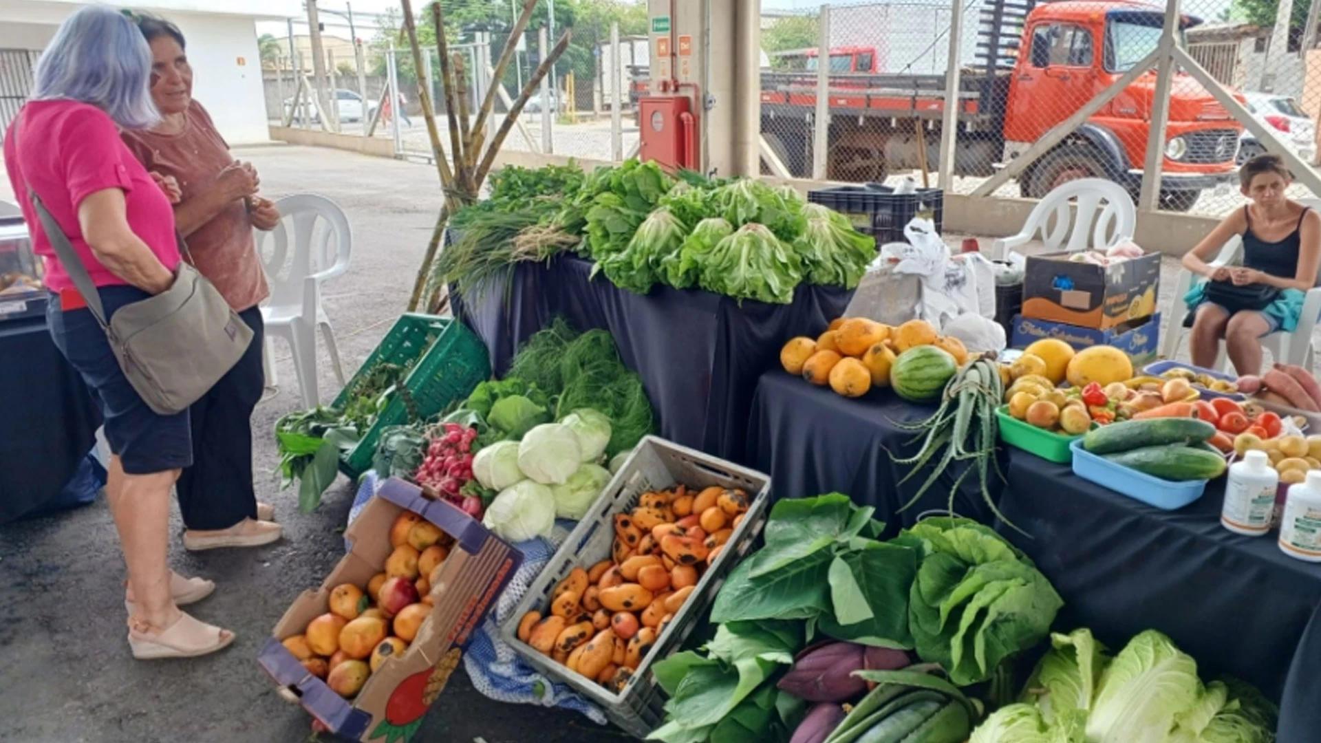  Feira de Economia Solidária