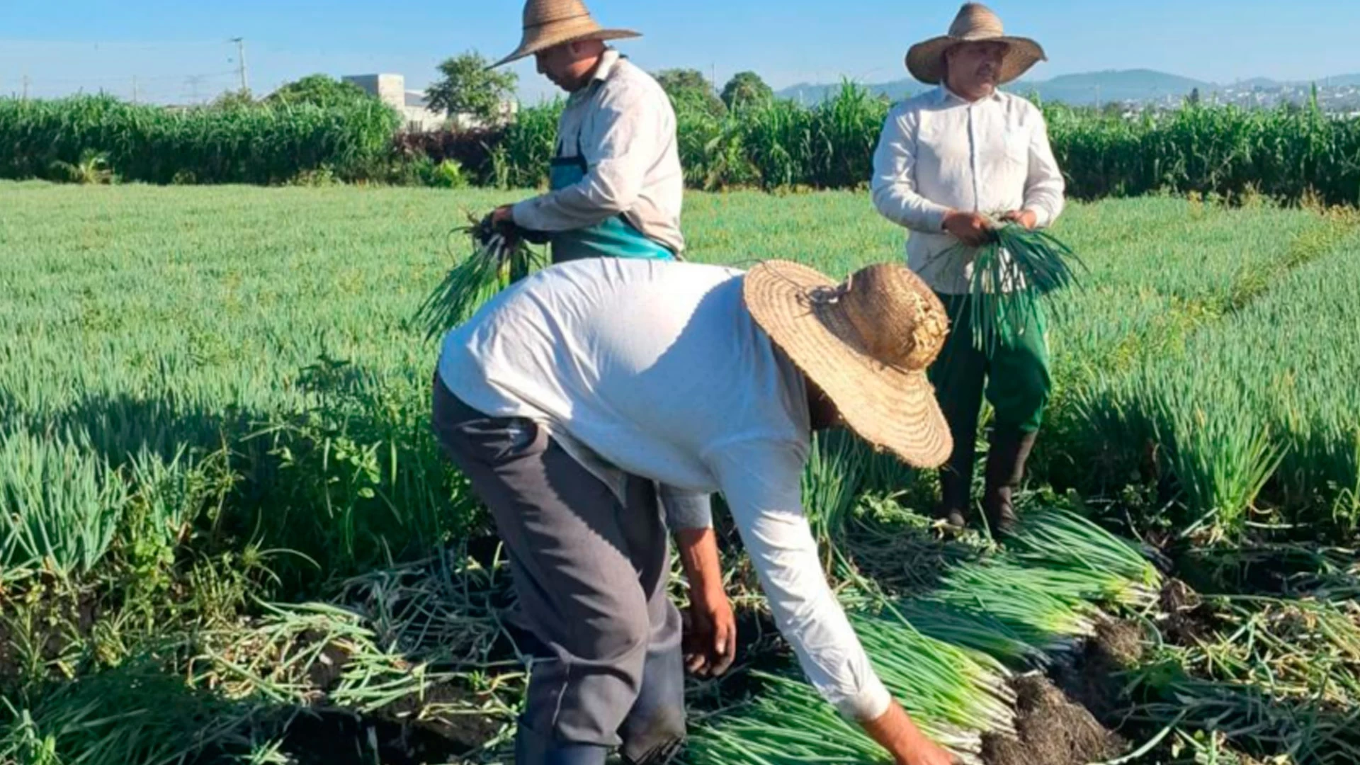 I Encontro de Agronegócios do Alto Tietê