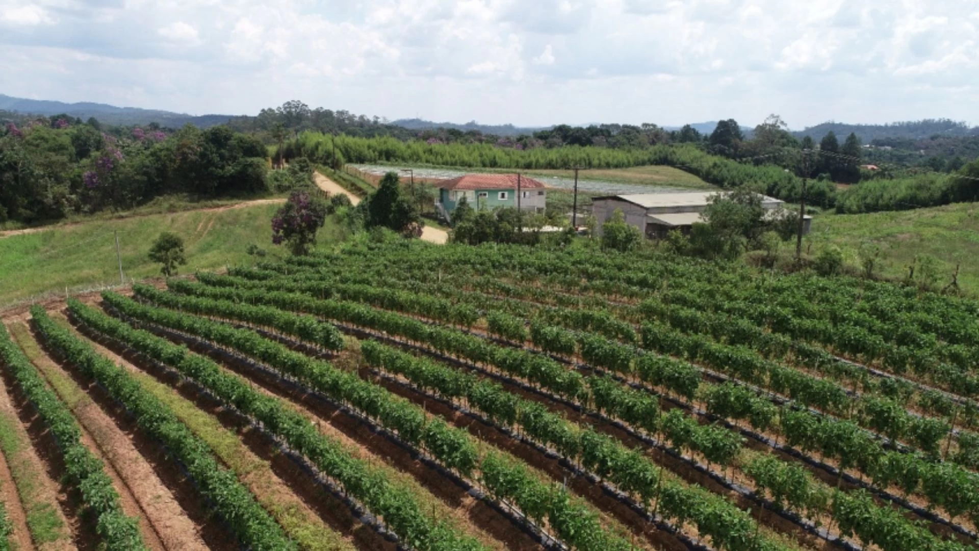 Reunião sobre segurança rural.
